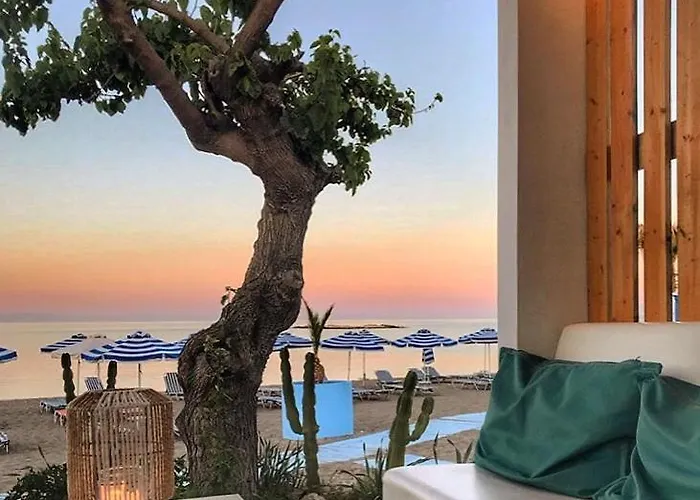 Cactus * 팔리라키