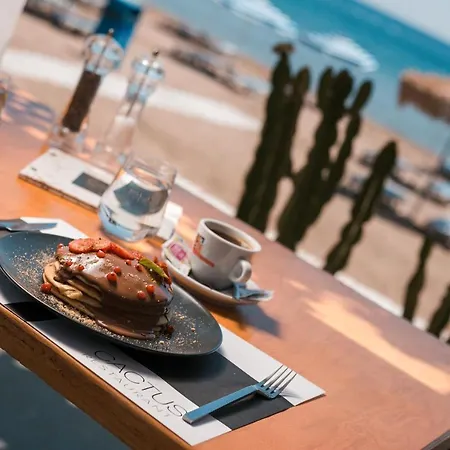 Cactus Apartamento *