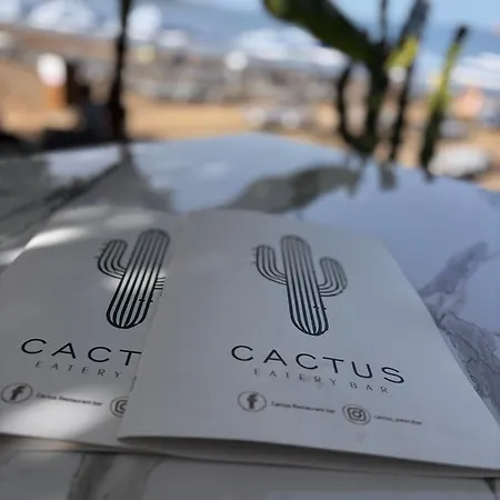 Cactus Apartment