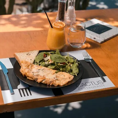 Cactus * Фалираки