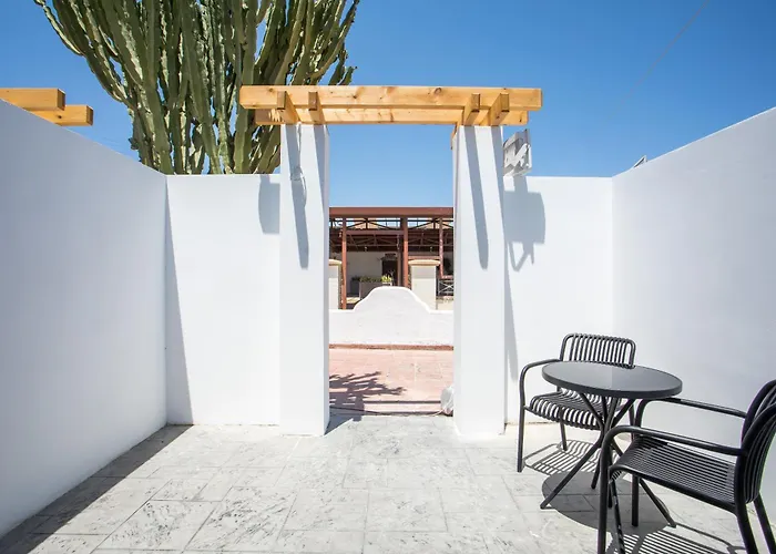 Cactus فاليراكي