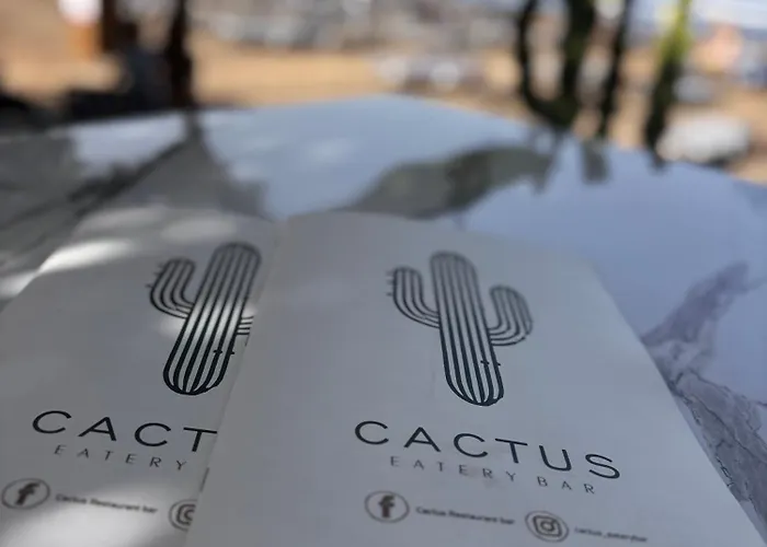 Cactus شقة